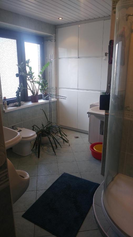 Pokoj W Domu Z Duzym Ogrodem 克拉科夫 外观 照片
